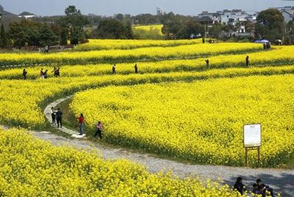 4399游戏盒官网入口