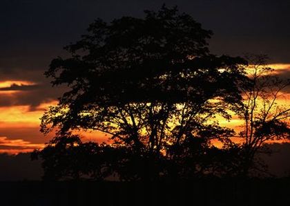 两人夜晚剧烈运动免费视频