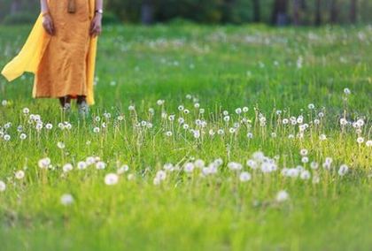 入门必学10个手机摄影技巧