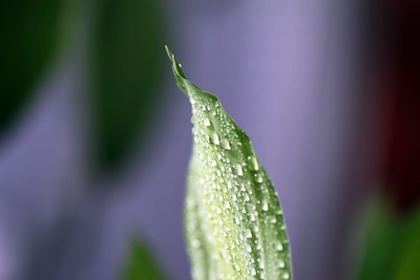 女生扣到自己尿床网站