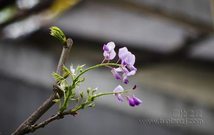 子宫里堵着东西