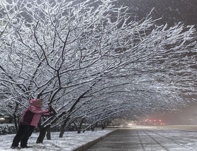 年轻的妈妈欧美