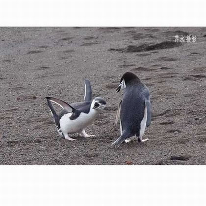 接吻原声无背景音乐